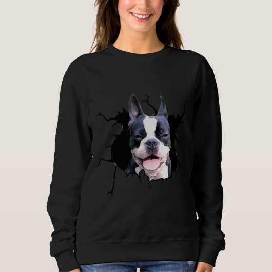 Boston Terrier Hondenrassen Dogs Puppy Decal Crack Trui (Voorkant)