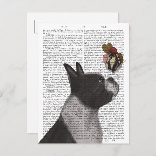 Boston Terrier Ice Cream Briefkaart (Voorkant / Achterkant)