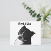 Boston Terrier: Ik heb een kus nodig Briefkaart (Staand voorkant)