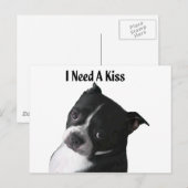 Boston Terrier: Ik heb een kus nodig Briefkaart (Voorkant / Achterkant)