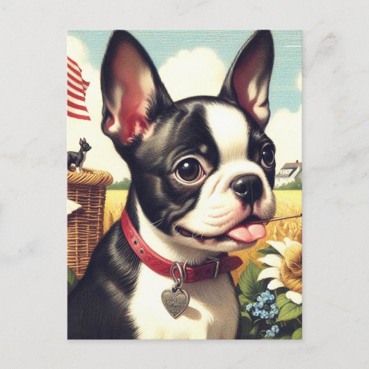 Boston Terrier Illustratie Briefkaart (Voorkant)
