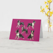 Boston Terrier Illustratie Kaart (Gele Bloem)