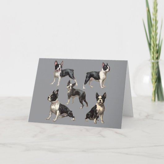 Boston Terrier Illustratie Kaart (Voorkant)