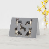 Boston Terrier Illustratie Kaart (Gele Bloem)