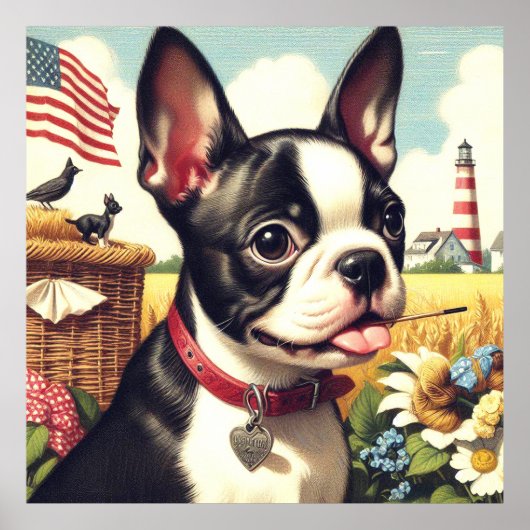 Boston Terrier Illustratie Poster (Voorkant)