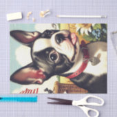 Boston Terrier Illustratie Tissuepapier (Craft)