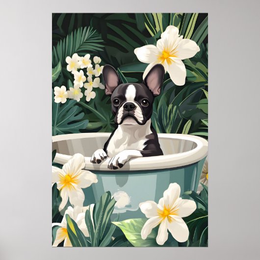 Boston Terrier In Bathtub Poster, Funny Dog Poster (Voorkant)