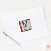 Boston Terrier in Black en White Hartelijk dank Vierkante Sticker (Envelop)