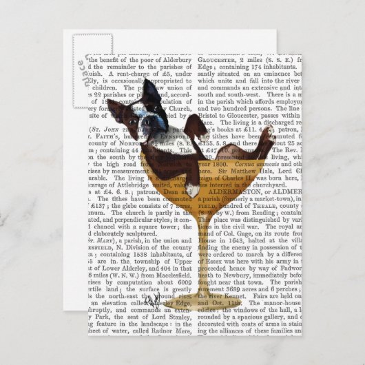 Boston Terrier in Cocktail Glass 2 Briefkaart (Voorkant / Achterkant)