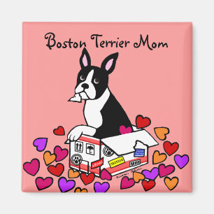 Boston Terrier in de Box Cartoon Magneet