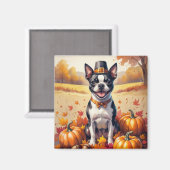 Boston Terrier in de herfst verlaat Thanksgiving k Magneet (Voorkant / Achterkant)