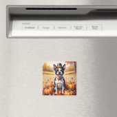 Boston Terrier in de herfst verlaat Thanksgiving k Magneet (Insitu (Vaatwasser))