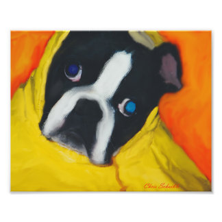 Boston Terrier in een gele regenjas Foto Afdruk