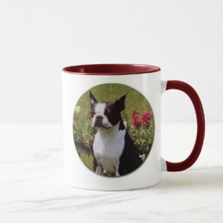 Boston Terrier in Garden Mok