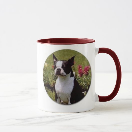 Boston Terrier in Garden Mok (Rechts)