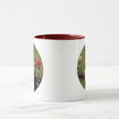 Boston Terrier in Garden Mok (Midden)