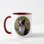 Boston Terrier in Garden Mok (Links)