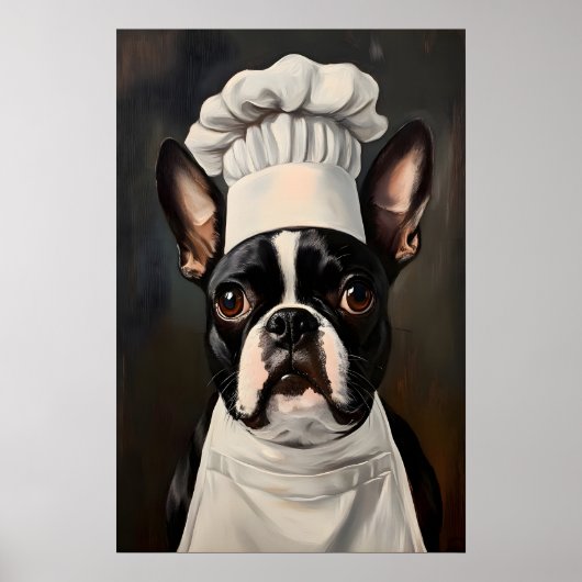 Boston Terrier in kooksmuts poster, huisdierkunst Poster (Voorkant)