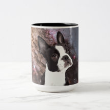 Boston Terrier in Space