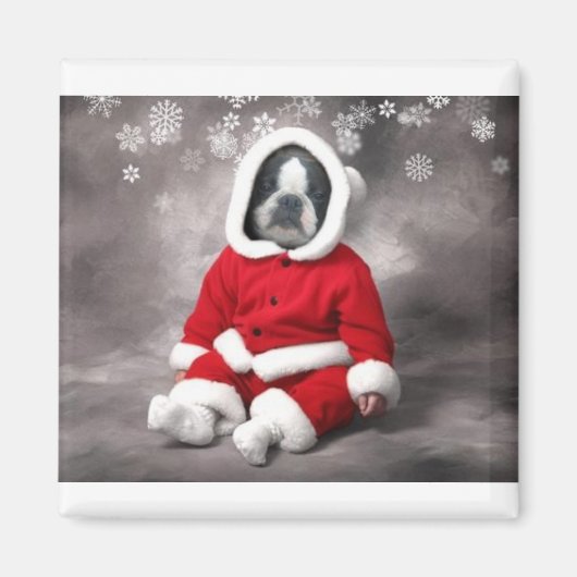 BOSTON TERRIER IN XMAS OUTFIT MAGNEET (Voorkant)