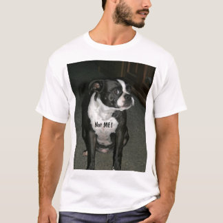 Boston Terrier Innocent Angel T-shirt