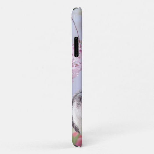 Boston Terrier iphone 11 hoesje (Achterkant/rechts)