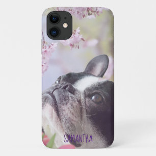 Boston Terrier iphone 11 hoesje