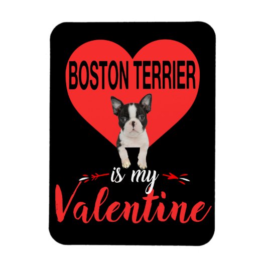 Boston Terrier is mijn Valentijn cadeaus Magneet (Verticaal)