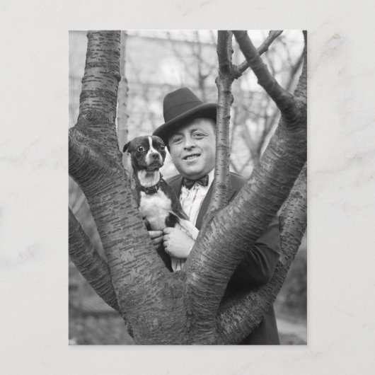 Boston Terrier, jaren 20 Briefkaart (Voorkant)