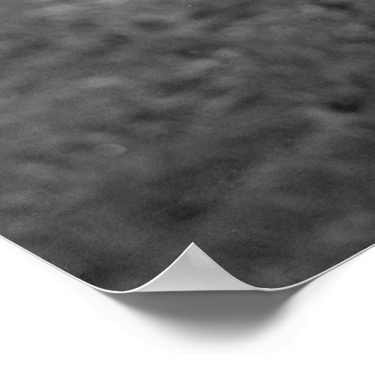 Boston Terrier, jaren 20 Poster (Hoek)