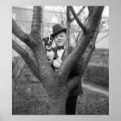 Boston Terrier, jaren 20 Poster (Voorkant)