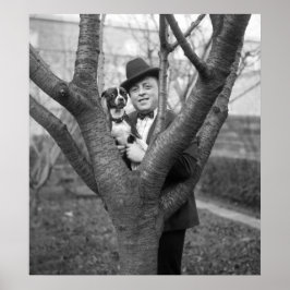 Boston Terrier, jaren 20 Poster