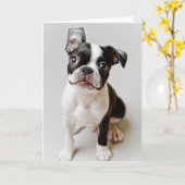 Boston Terrier Kaart (Gele Bloem)