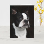Boston Terrier Kaart (Gele Bloem)
