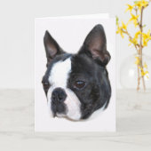 Boston Terrier Kaart (Gele Bloem)