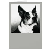 Boston Terrier Kaart - "Boston Style" (Voorkant)