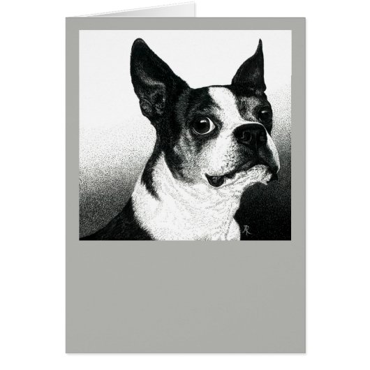 Boston Terrier Kaart - "Boston Style" (Voorkant)