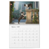 Boston Terrier Kalender (Feb 2027)