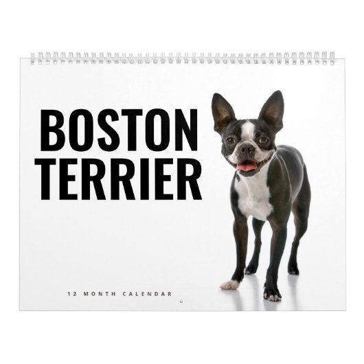 Boston Terrier Kalender (Hoes)
