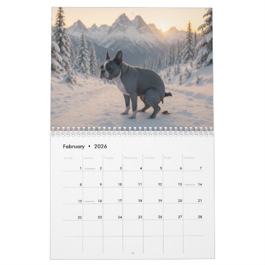 Boston Terrier kalender 2026 (Feb 2026)