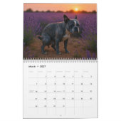 Boston Terrier kalender 2026 (Mar 2027)