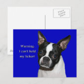 Boston Terrier:  Kan haar likker niet vasthouden Briefkaart (Voorkant / Achterkant)