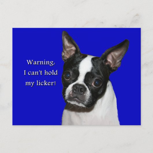 Boston Terrier:  Kan haar likker niet vasthouden Briefkaart (Voorkant)