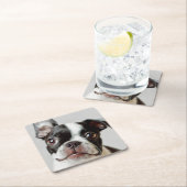 Boston Terrier Kartonnen Onderzetters (Insitu)