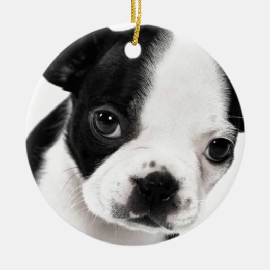 Boston Terrier Keramisch Ornament (Voorkant)