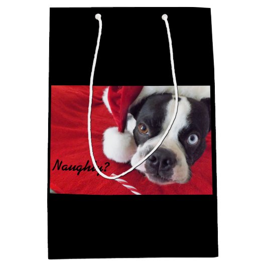 Boston Terrier kerstcadeau Medium Cadeauzakje (Voorkant)