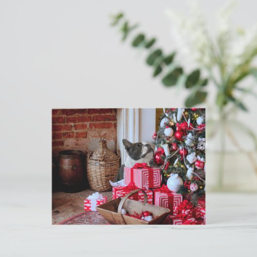 Boston Terrier Kerstmis Feestdagenkaart (Staand voorkant)