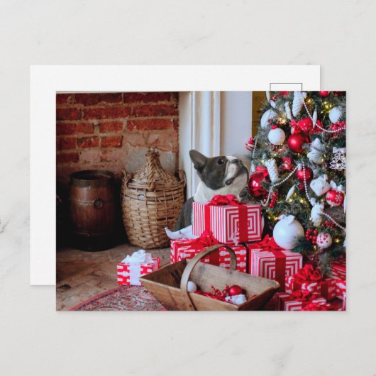 Boston Terrier Kerstmis Feestdagenkaart (Voorkant / Achterkant)