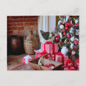 Boston Terrier Kerstmis Feestdagenkaart (Voorkant)