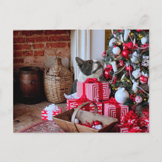 Boston Terrier Kerstmis Feestdagenkaart (Voorkant)